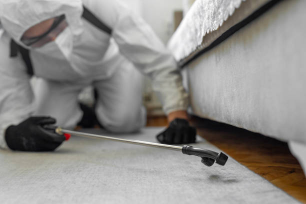 Professional Bed Bug Control technician working in Hominy, OK